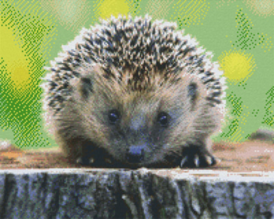 Hedgehog Sixteen [16] Baseplate PixelHobby Mini-mosaic Art Kit image 0